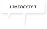 limfocyt01